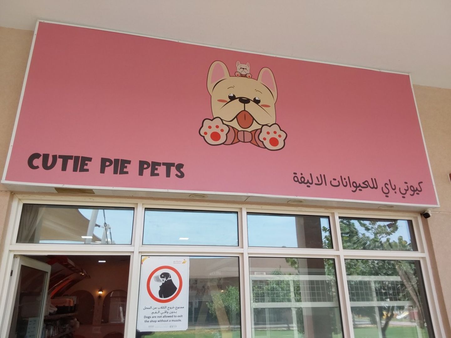 HiDubai-business-cutie-pie-pets-animals-pets-plants-animal-shelters-adoption-centres-warsan-3-dubai