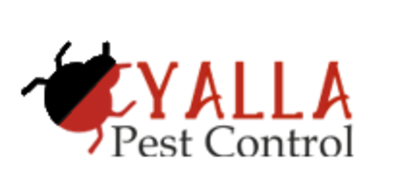 HiDubai-business-yalla-pest-control-home-pest-control-disinfection-services-al-murar-dubai