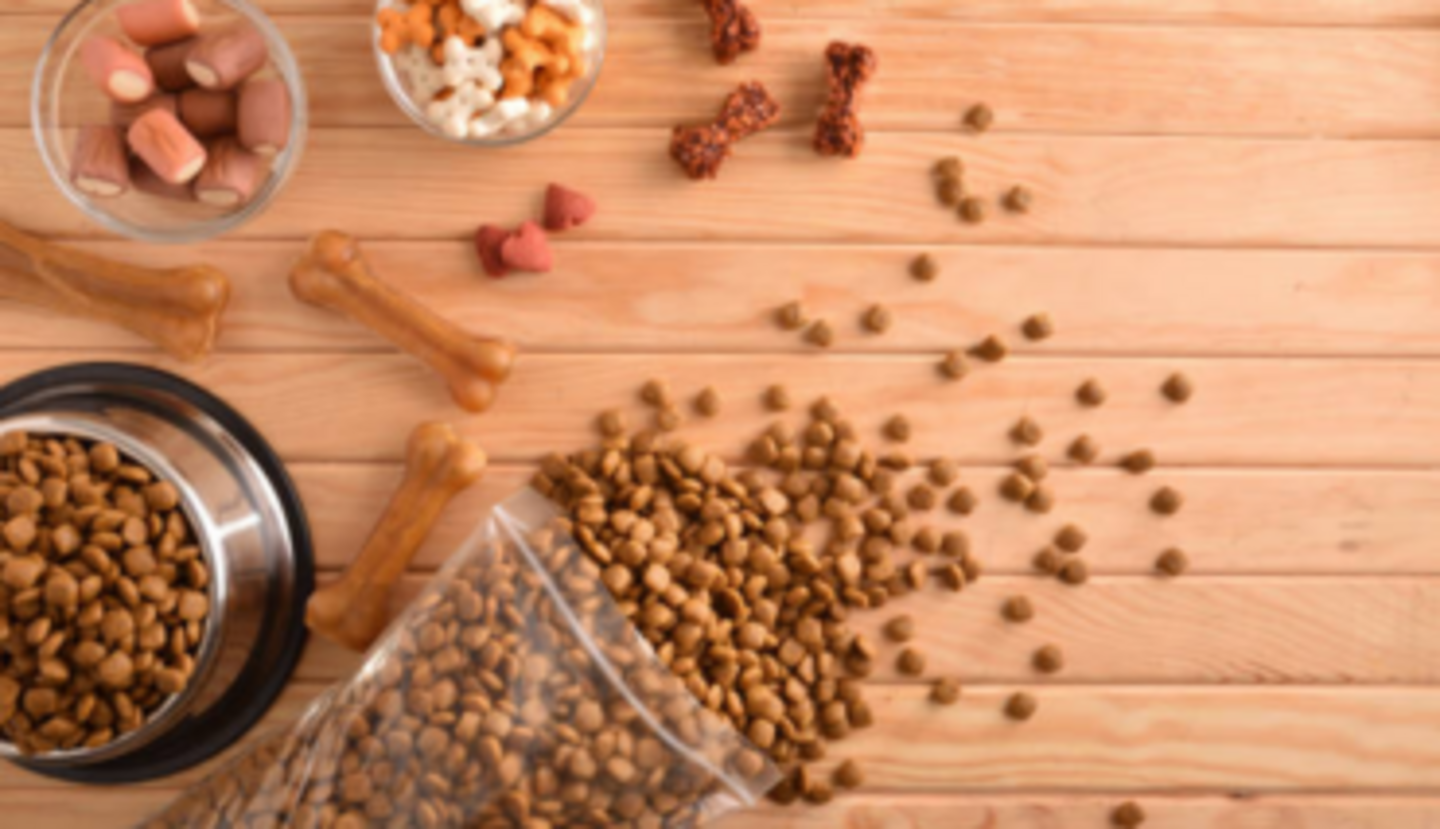 HiDubai-business-beauty-pets-animals-pets-plants-pet-food-accessories-stores-muhaisnah-4-dubai