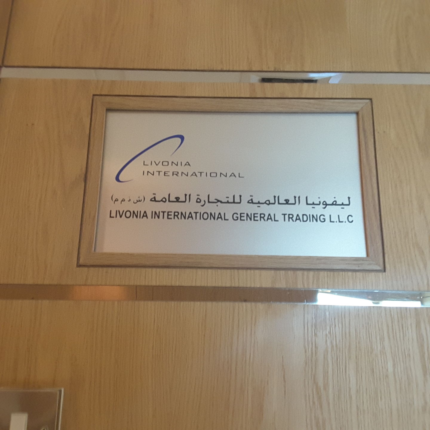 HiDubai-business-livonia-international-construction-heavy-industries-oil-gas-companies-al-nahda-2-dubai-2