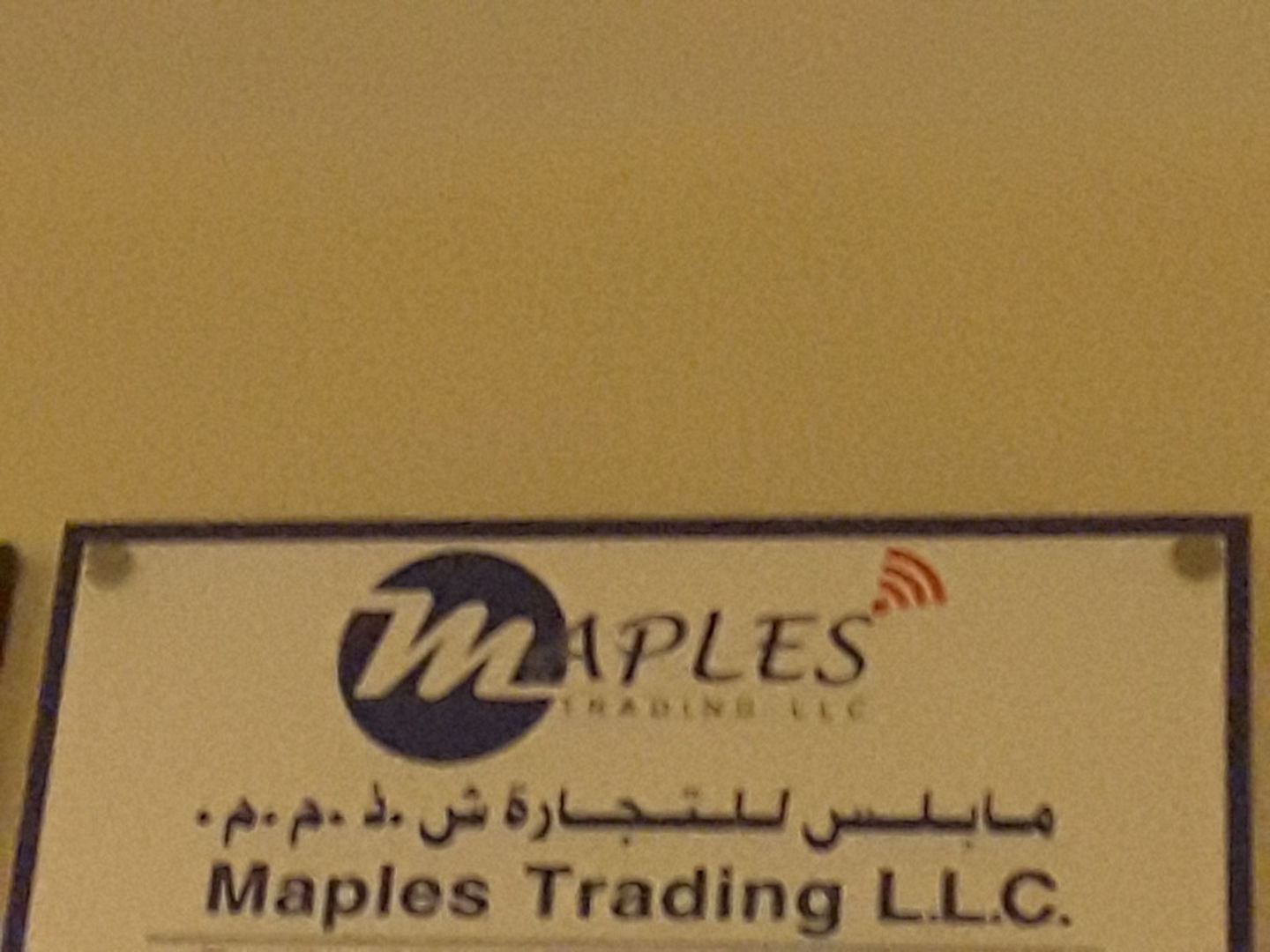 HiDubai-business-maples-trading-b2b-services-distributors-wholesalers-naif-dubai-2
