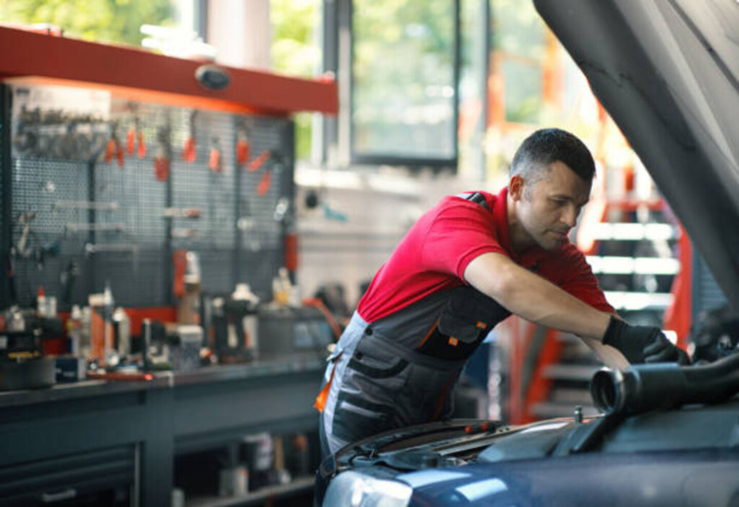 HiDubai-business-800-shelby-garage-transport-vehicle-services-specialized-auto-services-al-quoz-industrial-4-dubai