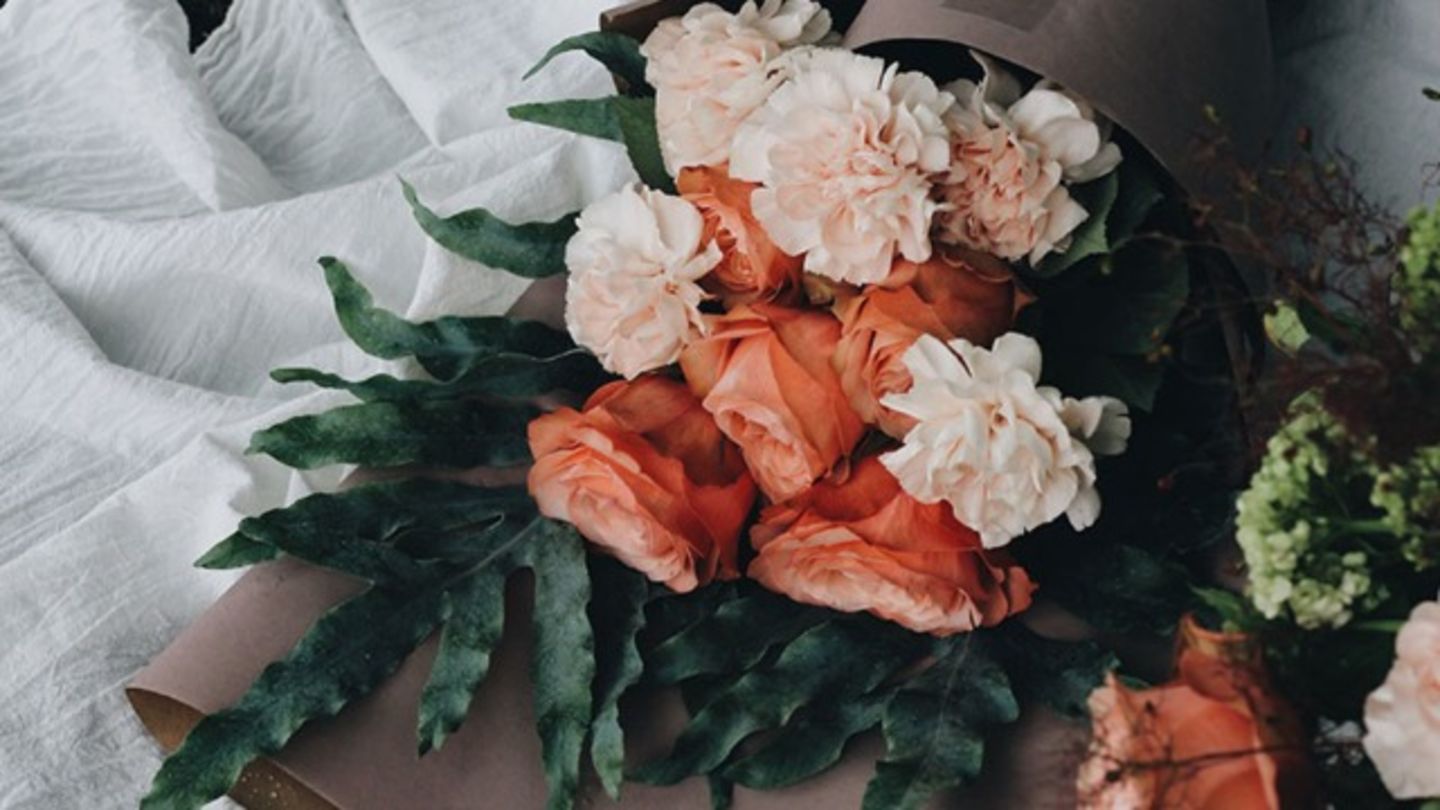 HiDubai-business-memories-flowers-animals-pets-plants-plants-gardening-stores-trade-centre-1-dubai