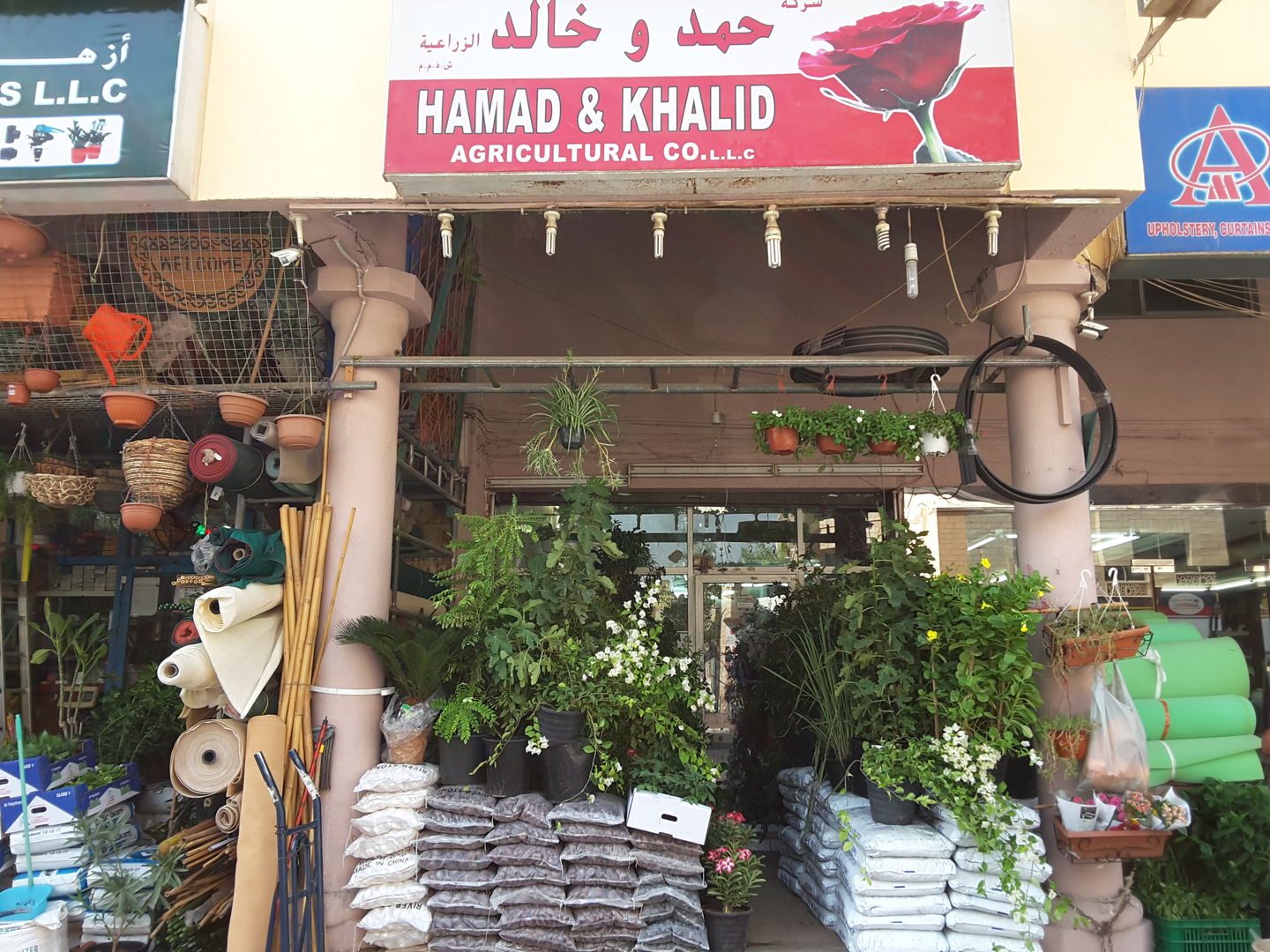 HiDubai-business-hamad-khalid-agriculture-animals-pets-plants-plants-gardening-stores-al-satwa-dubai-2