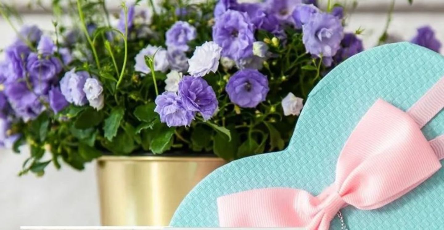 HiDubai-business-trilite-international-shopping-beauty-cosmetics-stores-al-quoz-industrial-1-dubai