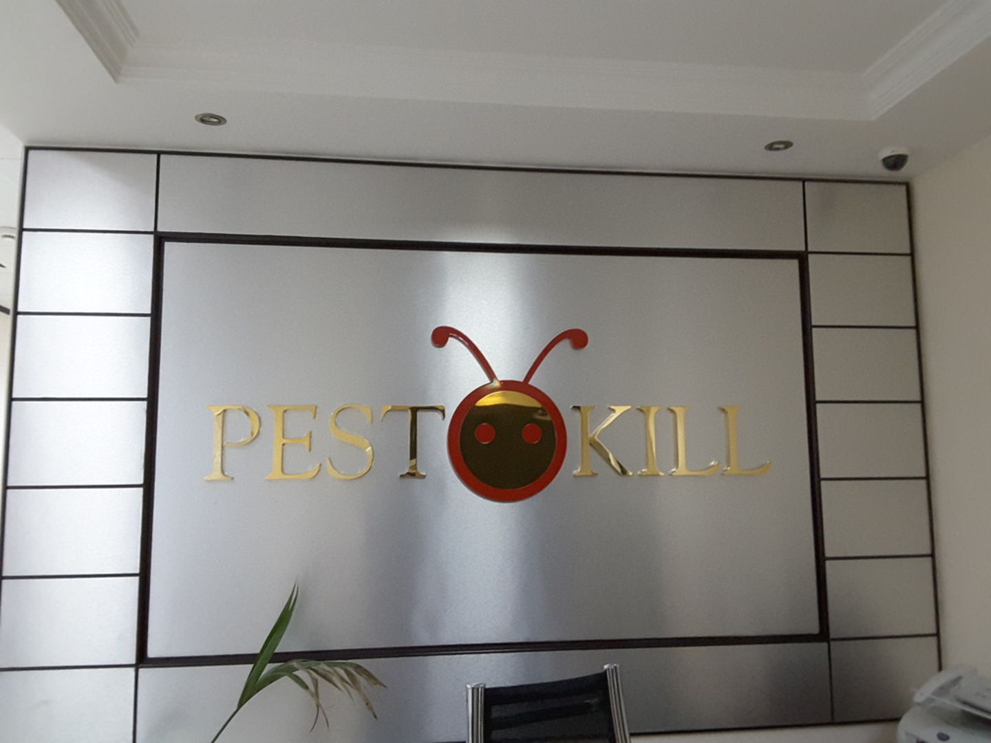 HiDubai-business-pestokill-home-pest-control-disinfection-services-al-khabaisi-dubai-2