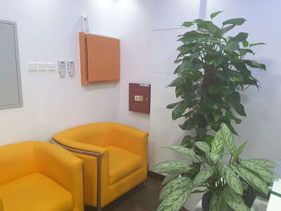 Blue Ocean Security Solutions(Safety & Security) in Dubai Motor City ...