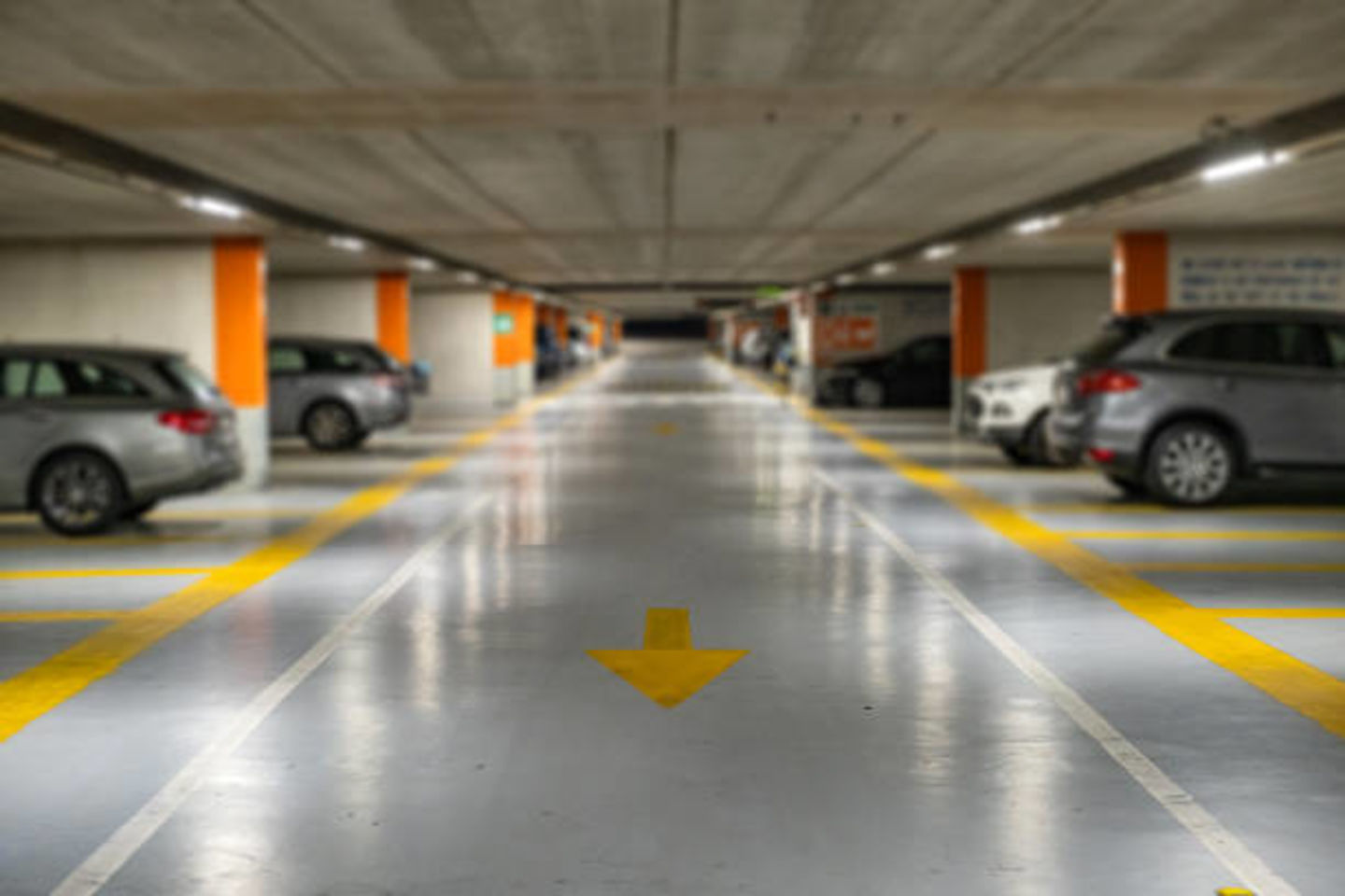 HiDubai-business-target-car-parking-rental-transport-vehicle-services-auto-al-muteena-dubai