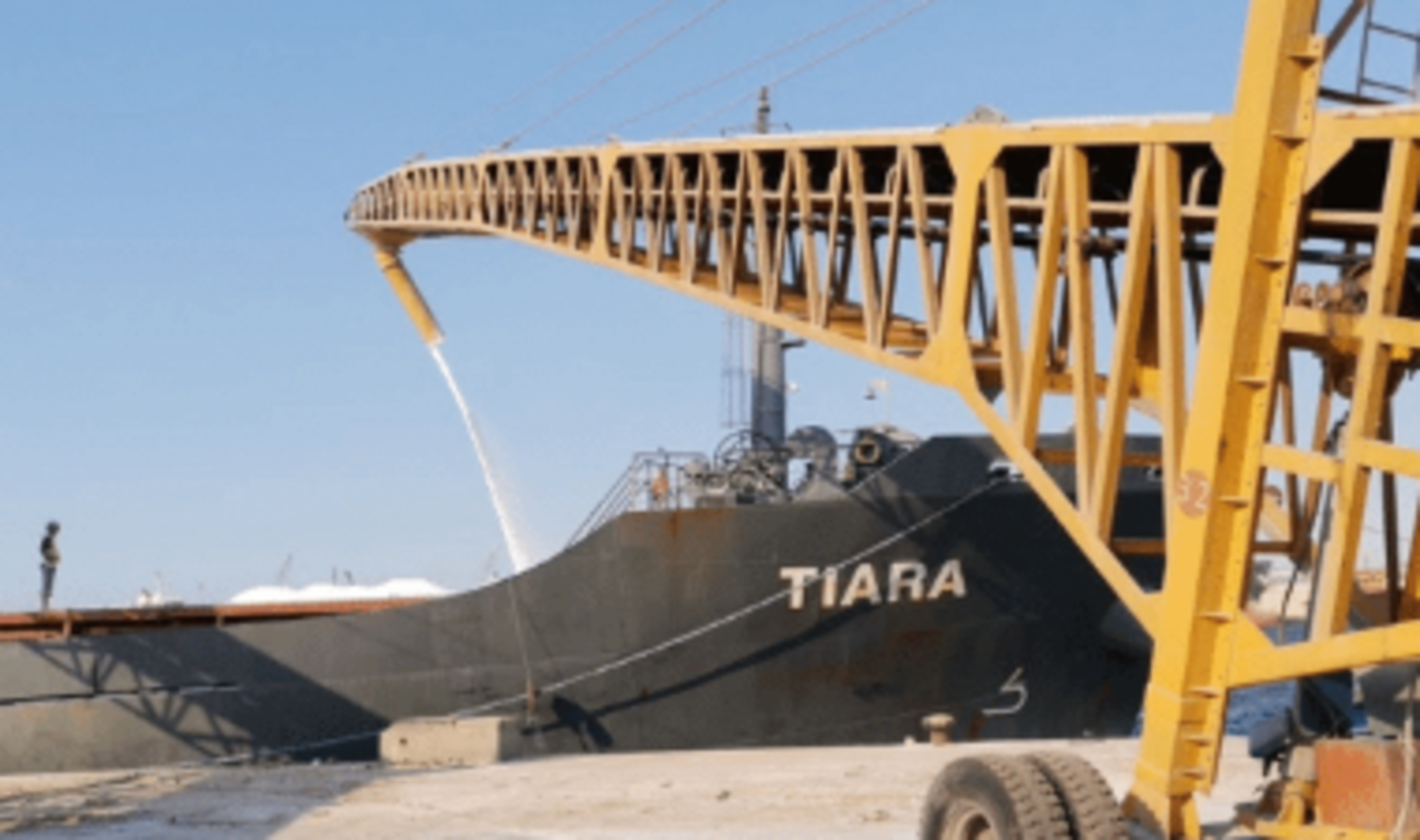 HiDubai-business-international-marine-general-services-shipping-logistics-shipping-jumeirah-lake-towers-al-thanyah-5-dubai