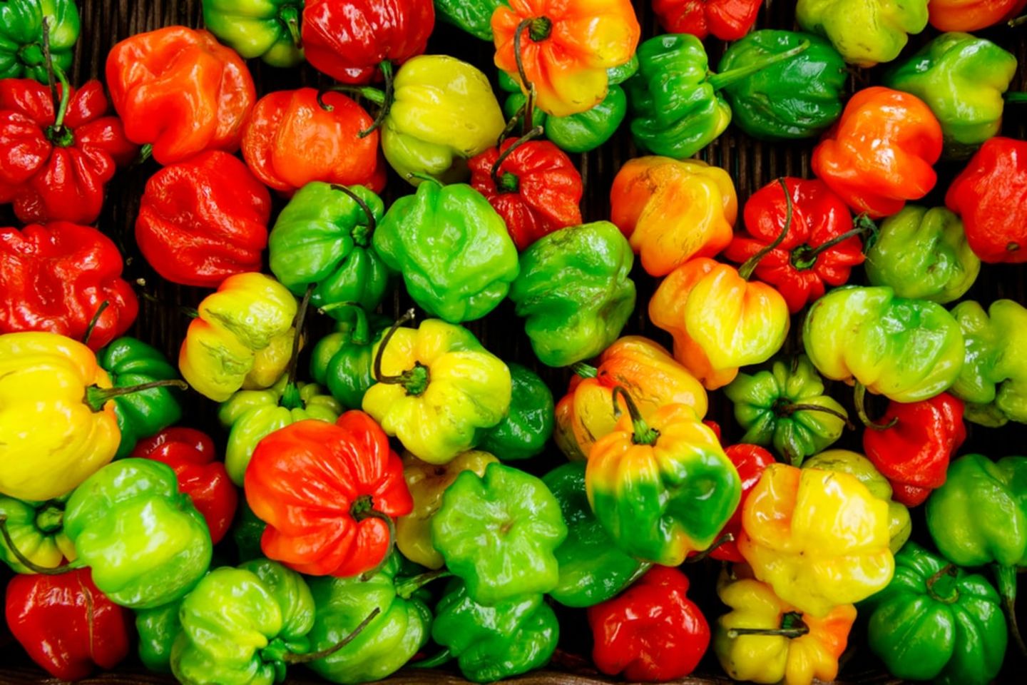 HiDubai-business-bahjat-al-madina-grocery-shopping-supermarkets-hypermarkets-grocery-stores-al-warqaa-1-dubai