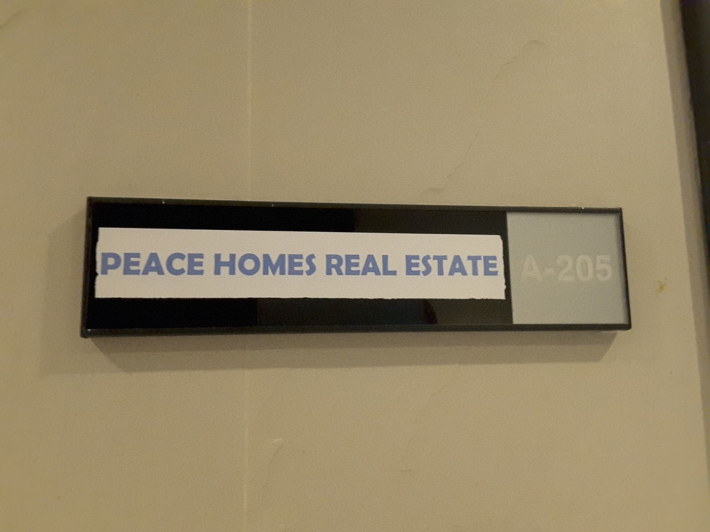 HiDubai-business-peace-homes-real-estate-b2b-services-business-consultation-services-jumeirah-village-circle-al-barsha-south-4-dubai-2