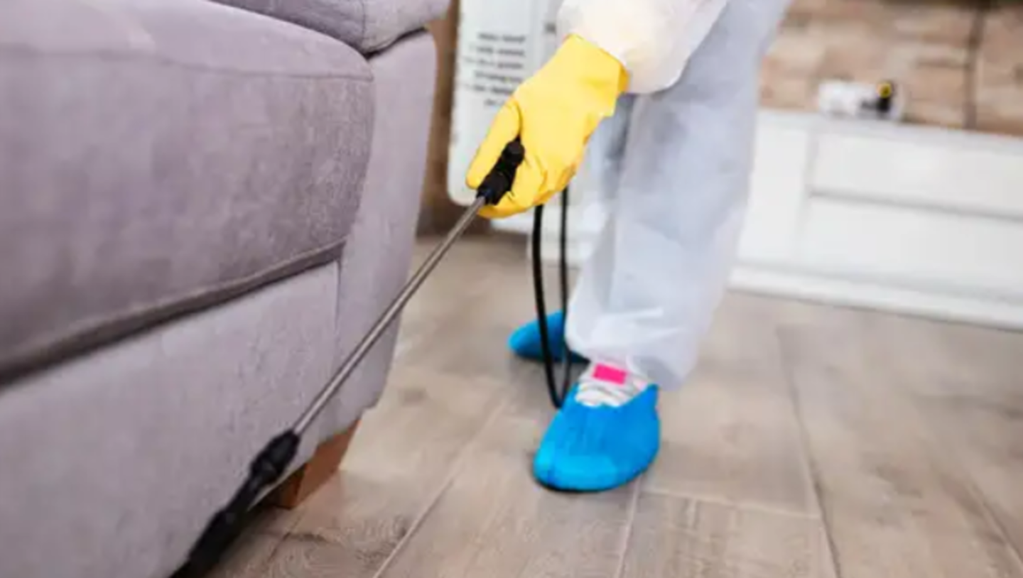 HiDubai-business-akkad-pest-control-services-home-pest-control-disinfection-services-barsha-heights-tecom-dubai