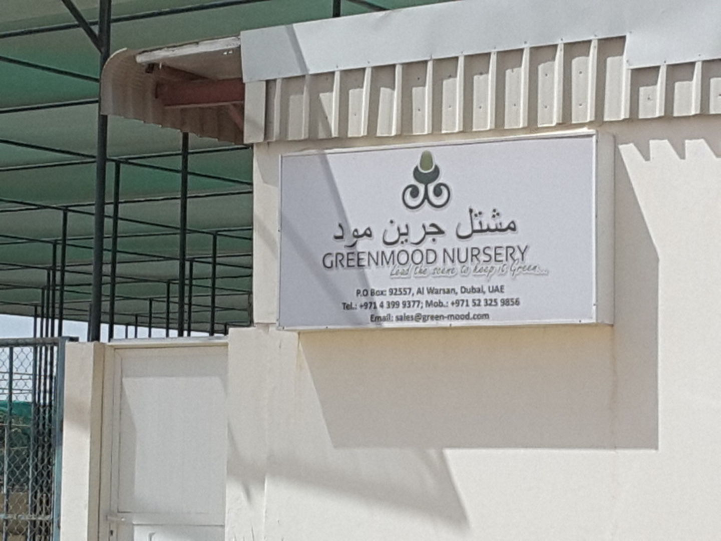 HiDubai-business-green-mood-nursery-home-gardening-landscaping-warsan-3-dubai