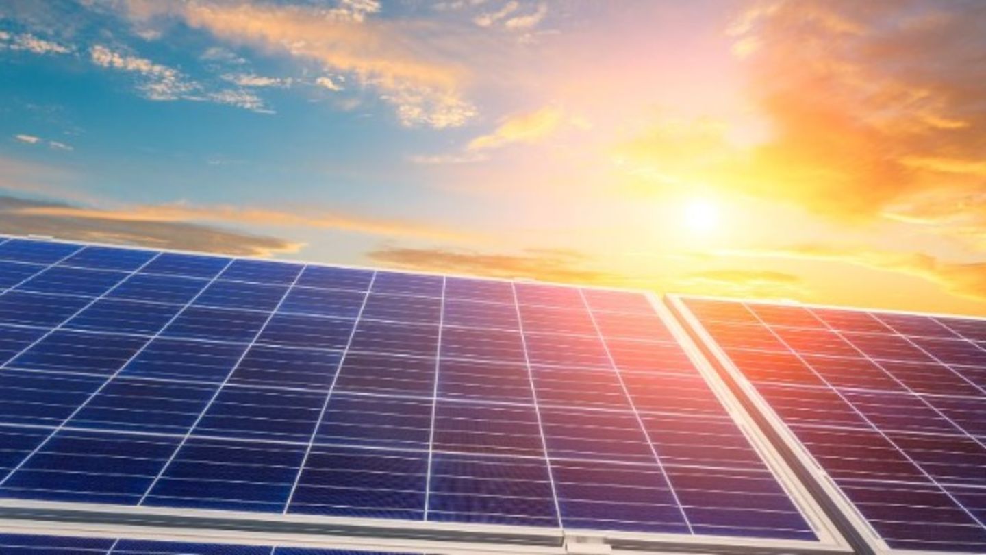 HiDubai-business-diwan-international-general-trading-b2b-services-distributors-wholesalers-naif-dubai