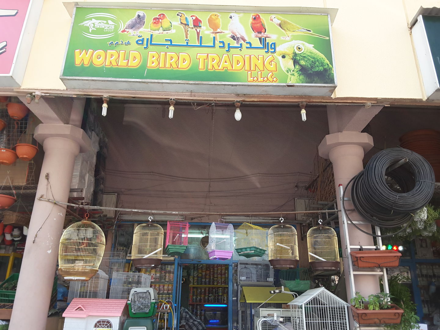 HiDubai-business-world-bird-trading-animals-pets-plants-animal-shelters-adoption-centres-al-satwa-dubai-2