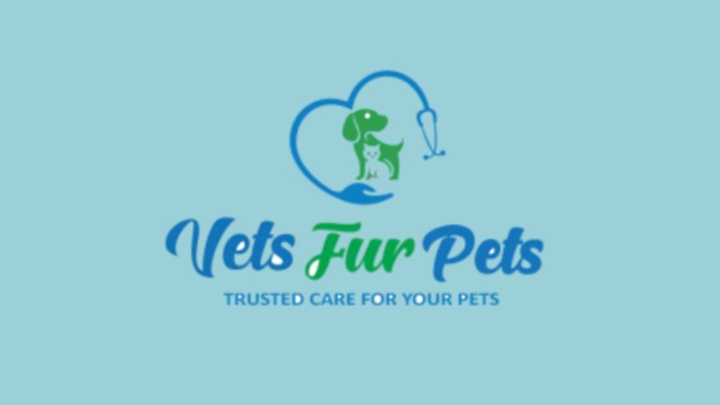 HiDubai-business-vets-fur-pets-veterinary-clinic-animals-pets-plants-pet-clinics-vets-al-barsha-3-dubai