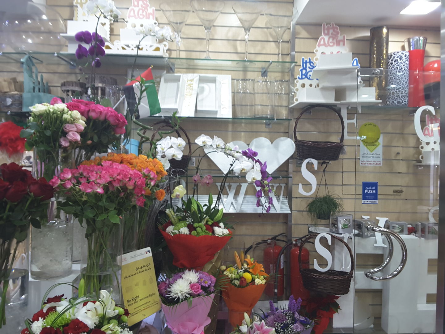 HiDubai-business-black-tulip-flowers-animals-pets-plants-plants-gardening-stores-al-mizhar-1-dubai-2