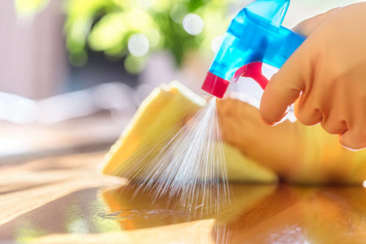 HiDubai-business-eminent-care-cleaning-services-home-cleaning-services-burj-khalifa-dubai