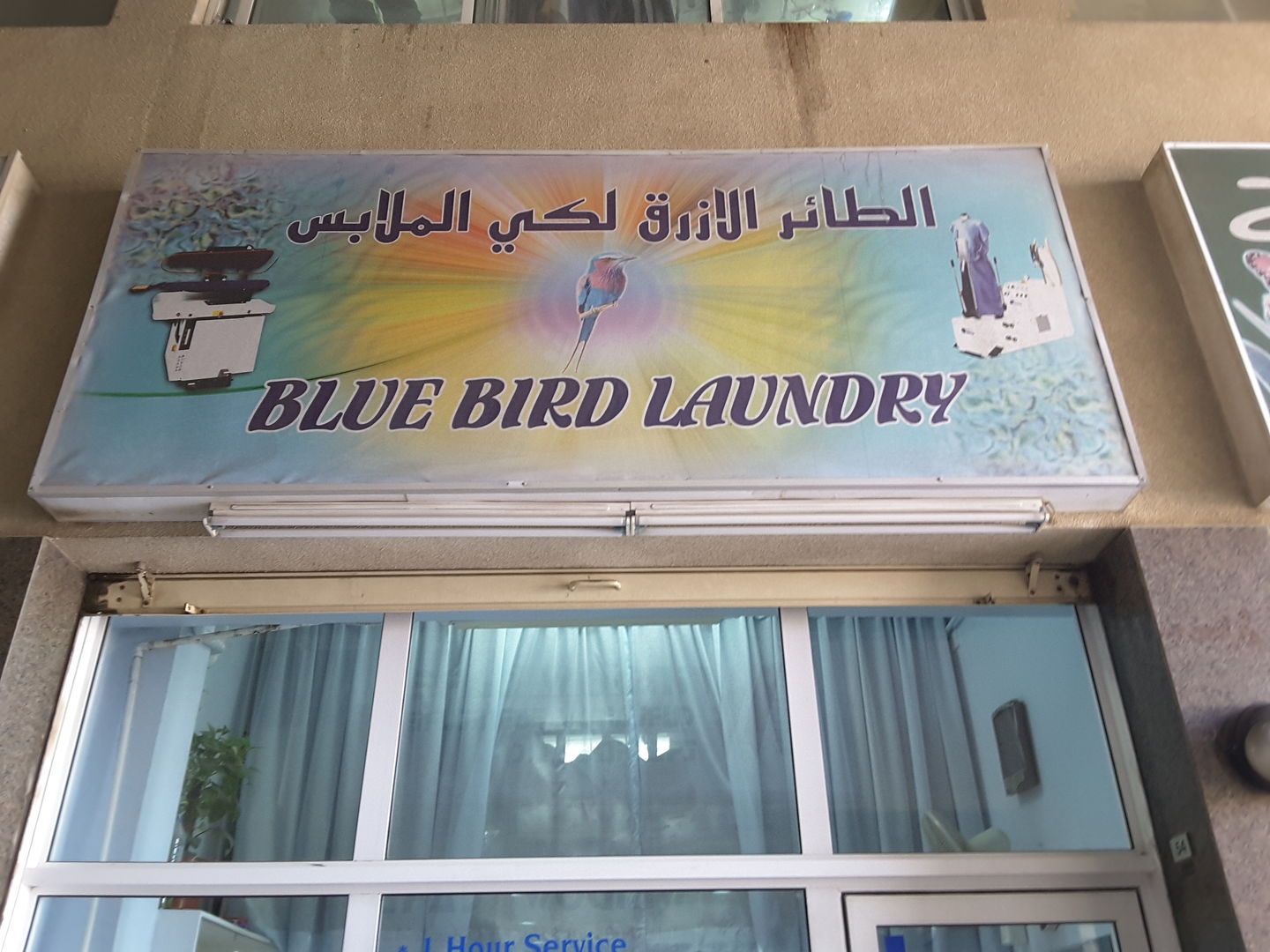 HiDubai-business-blue-bird-laundry-home-laundry-al-satwa-dubai-2