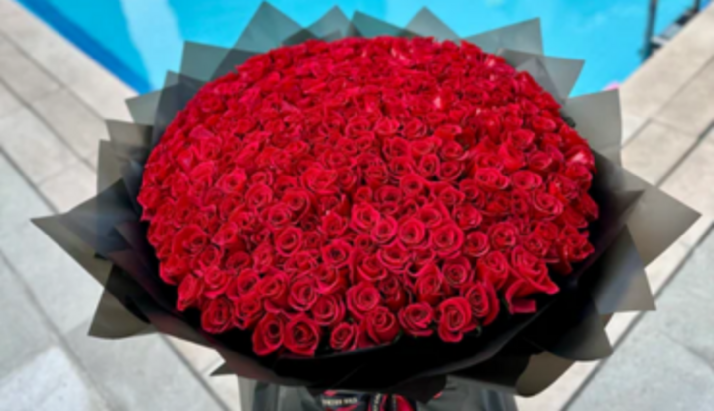 HiDubai-business-the-secret-garden-flower-animals-pets-plants-plants-gardening-stores-business-bay-dubai