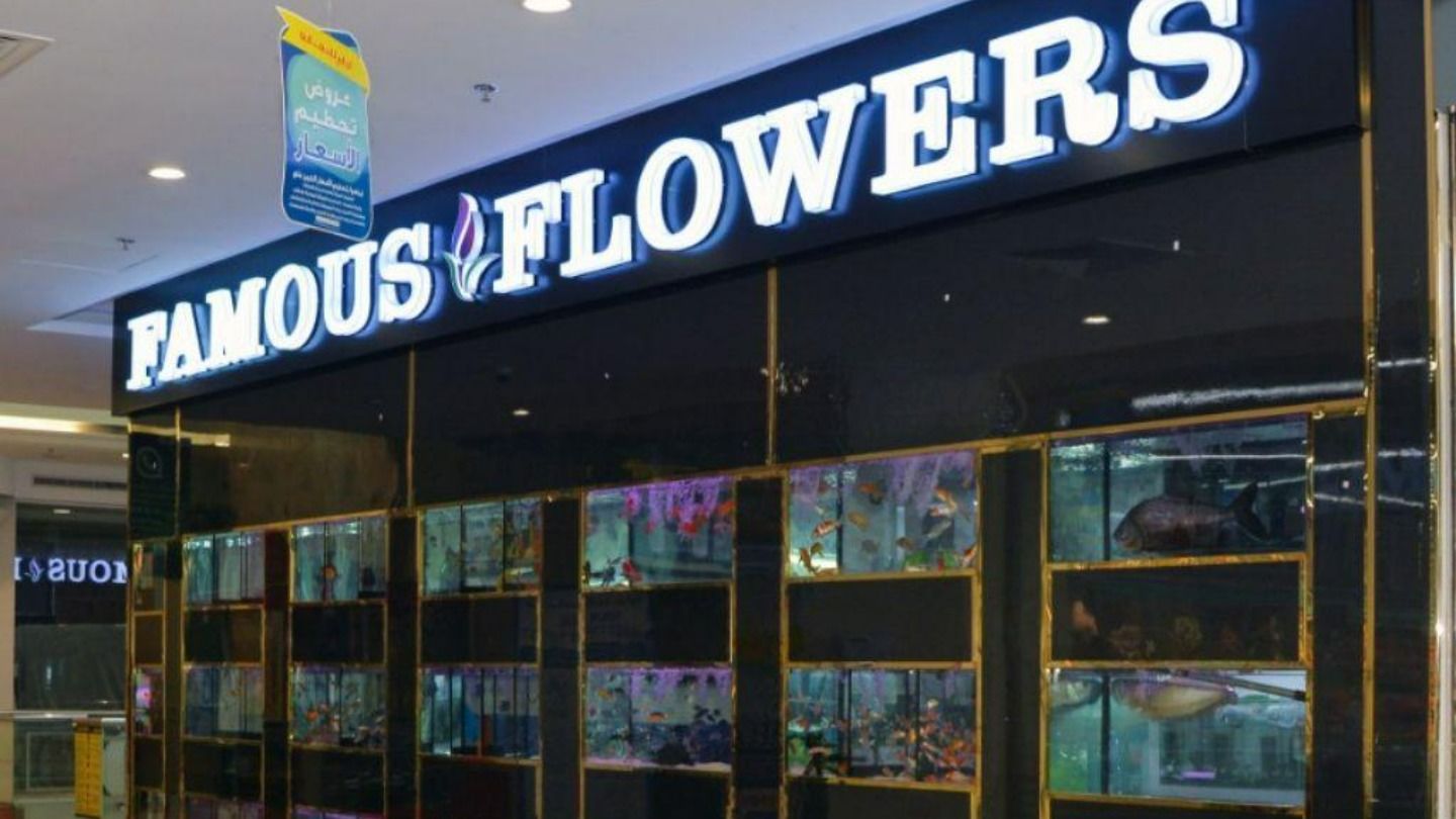 HiDubai-business-famous-flowers-animals-pets-plants-plants-gardening-stores-umm-hurair-2-dubai