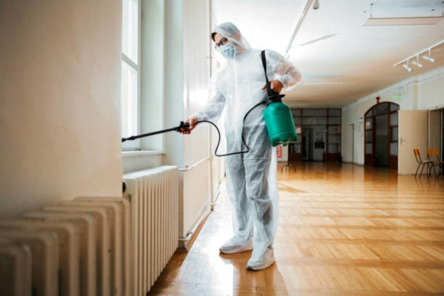 Handy Way Pest Control Services(Pest Control & Disinfection Services ...