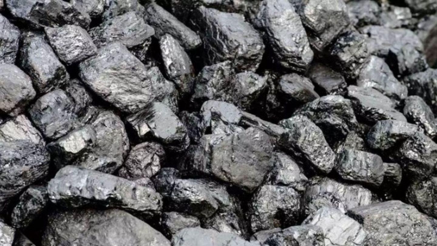 HiDubai-business-taurus-commodities-general-trading-b2b-services-distributors-wholesalers-al-barsha-1-dubai