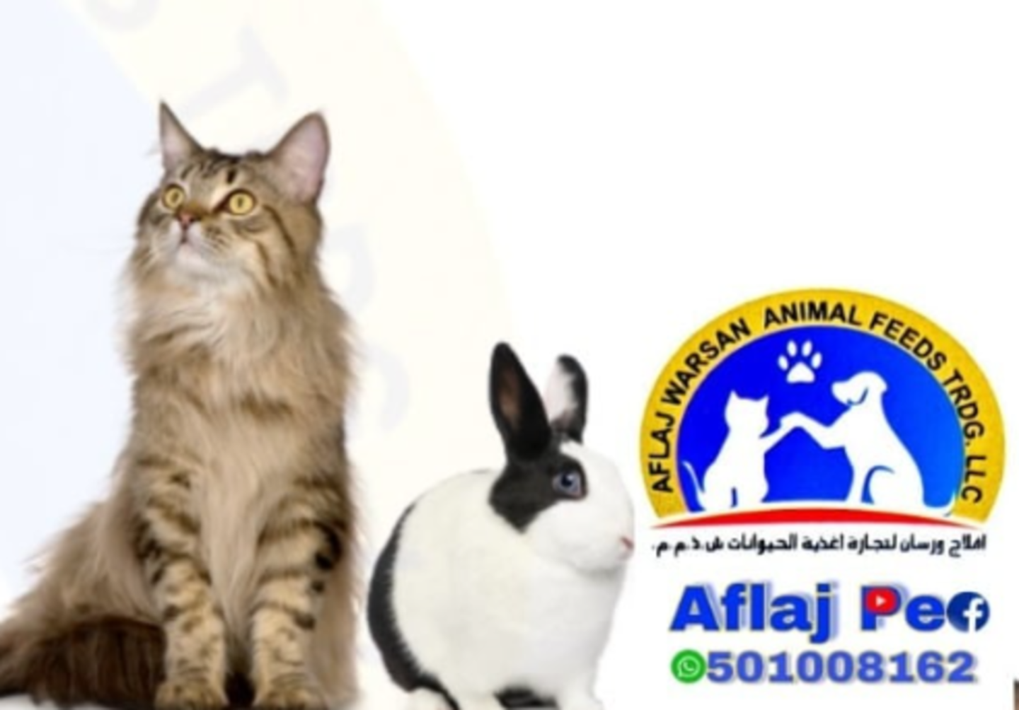 HiDubai-business-mcwild-pet-hypermarket-aflaj-pet-animals-pets-plants-pet-food-accessories-stores-warsan-3-dubai