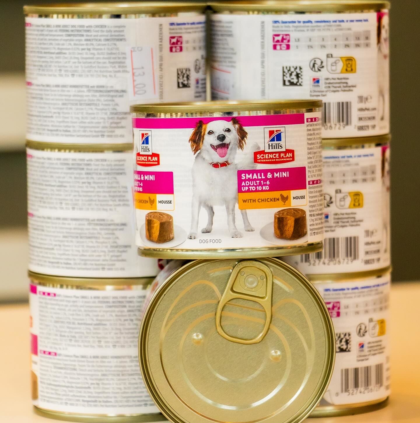 HiDubai-business-fluffy-floof-domestic-pets-grooming-animals-pets-plants-pet-grooming-centres-jumeirah-village-circle-al-barsha-south-4-dubai