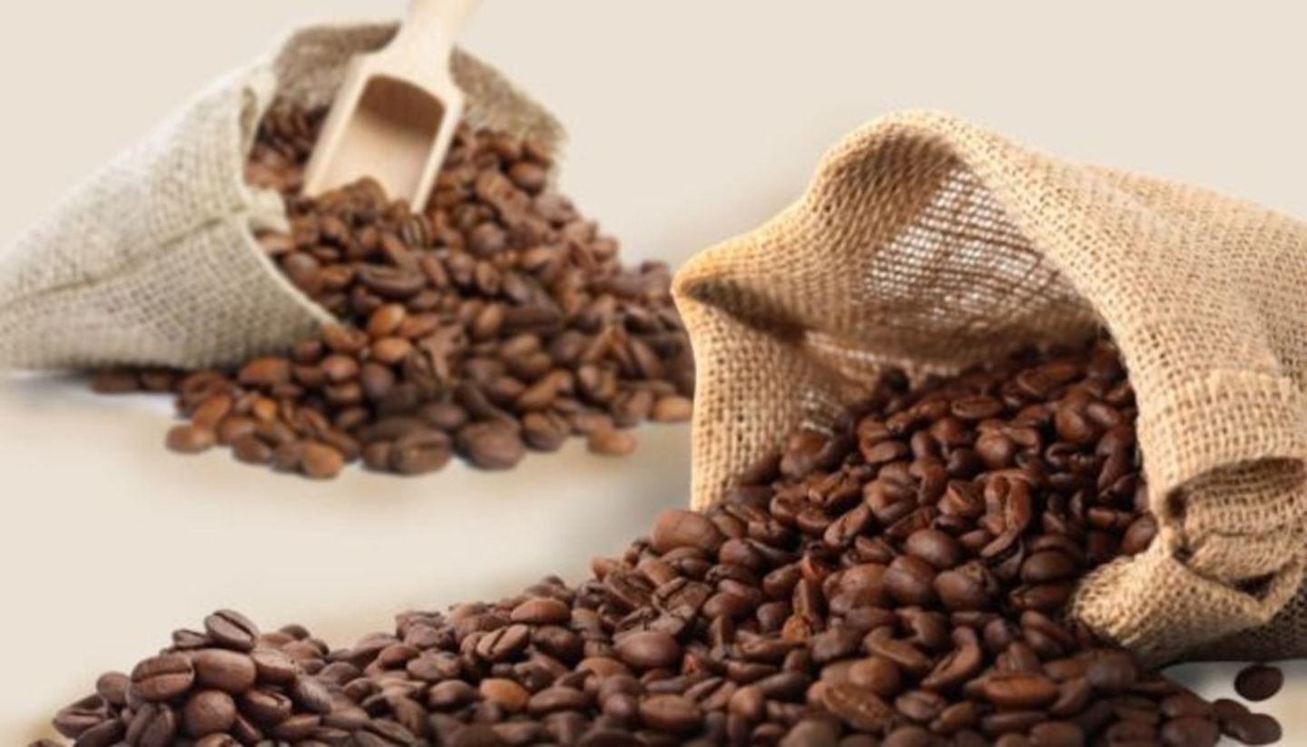 HiDubai-business-peets-coffee-food-beverage-coffee-shops-hadaeq-shaikh-mohammad-bin-rashid-dubai