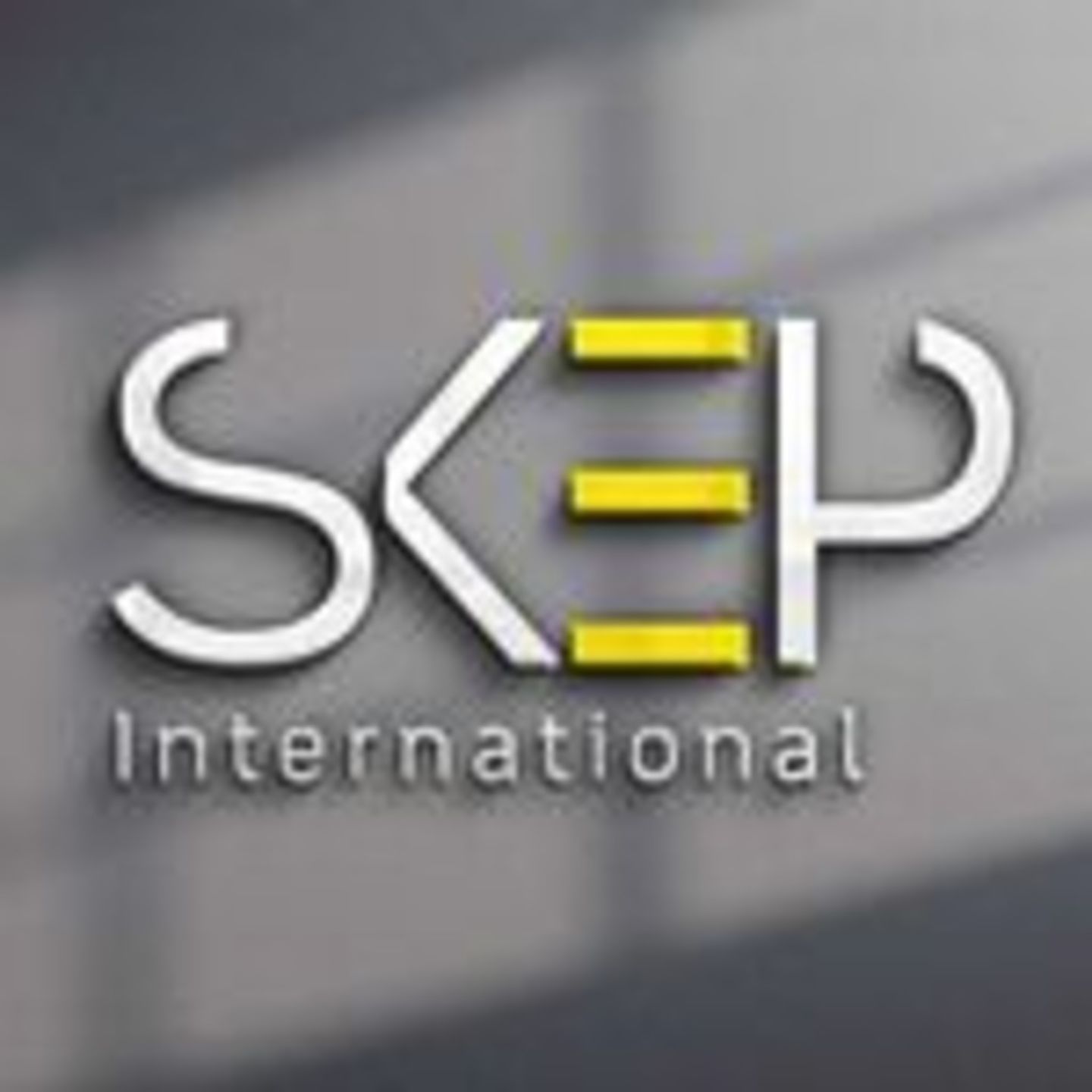 HiDubai-business-skep-technical-services-b2b-services-it-services-umm-hurair-2-dubai