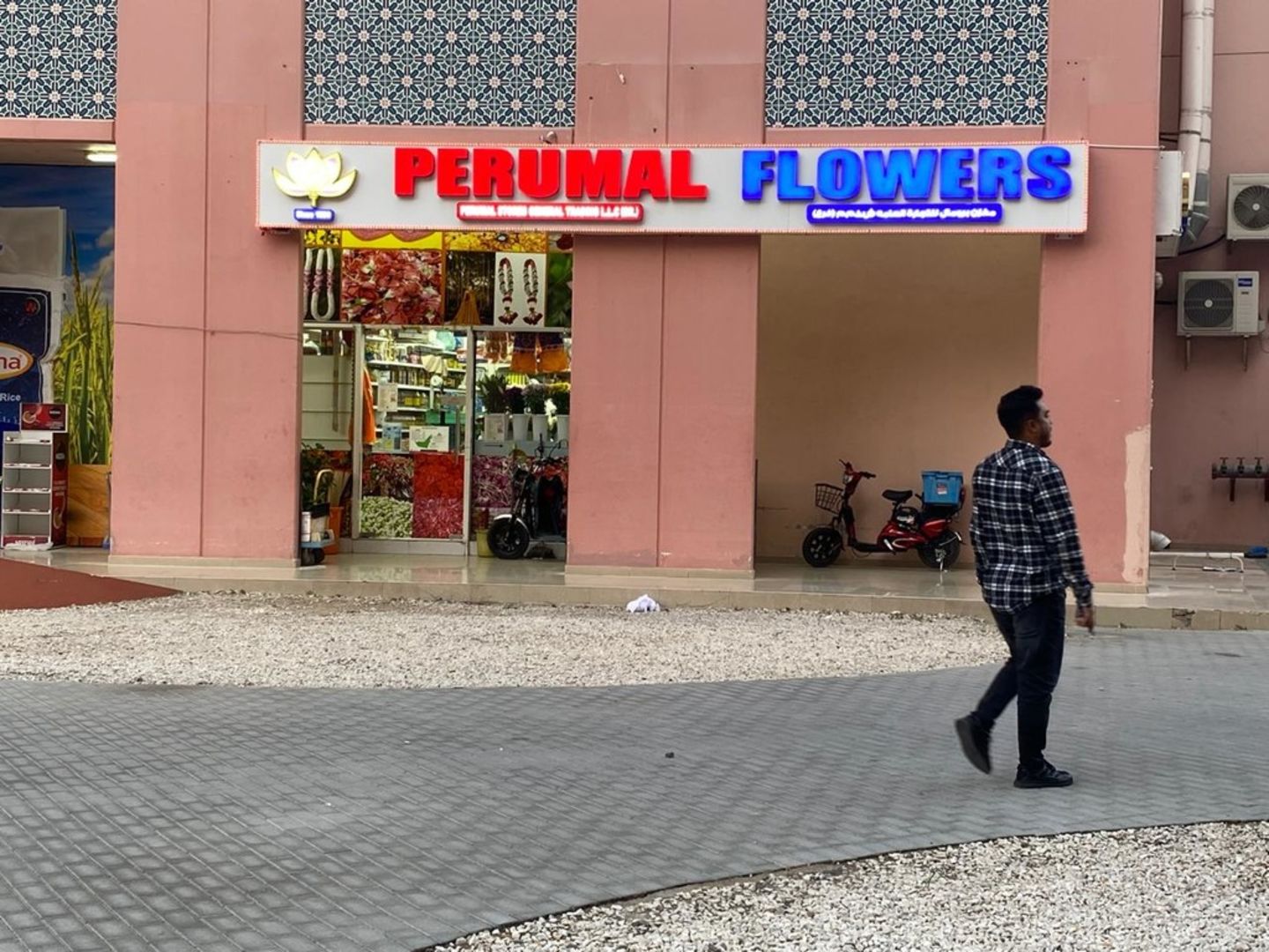 HiDubai-business-perumal-flowers-general-trading-animals-pets-plants-plants-gardening-stores-discovery-gardens-jebel-ali-1-dubai