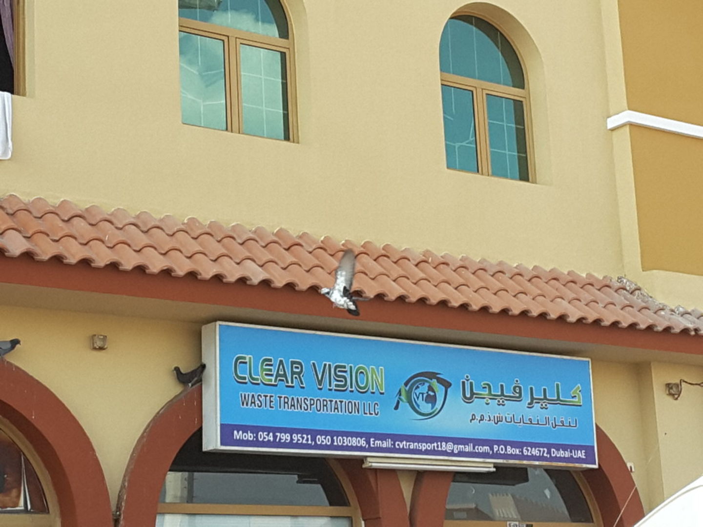 HiDubai-business-clear-vision-waste-transportation-construction-heavy-industries-waste-recycling-services-international-city-warsan-1-dubai