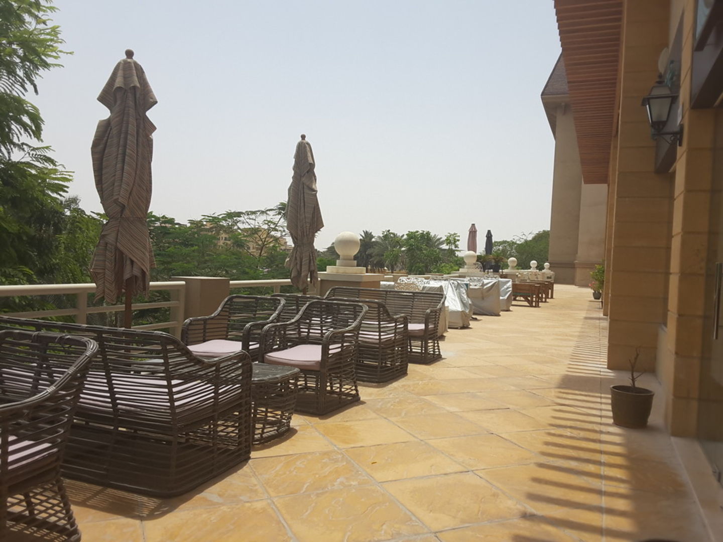 HiDubai-business-qamha-restaurant-food-beverage-restaurants-bars-mirdif-dubai-2