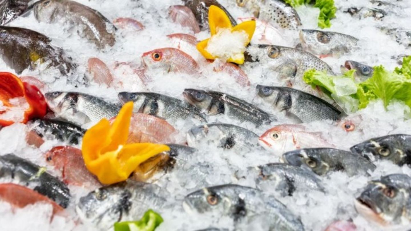 HiDubai-business-saeed-bakhit-saeed-bin-maskeen-fish-stall-b2b-services-food-stuff-trading-corniche-deira-dubai