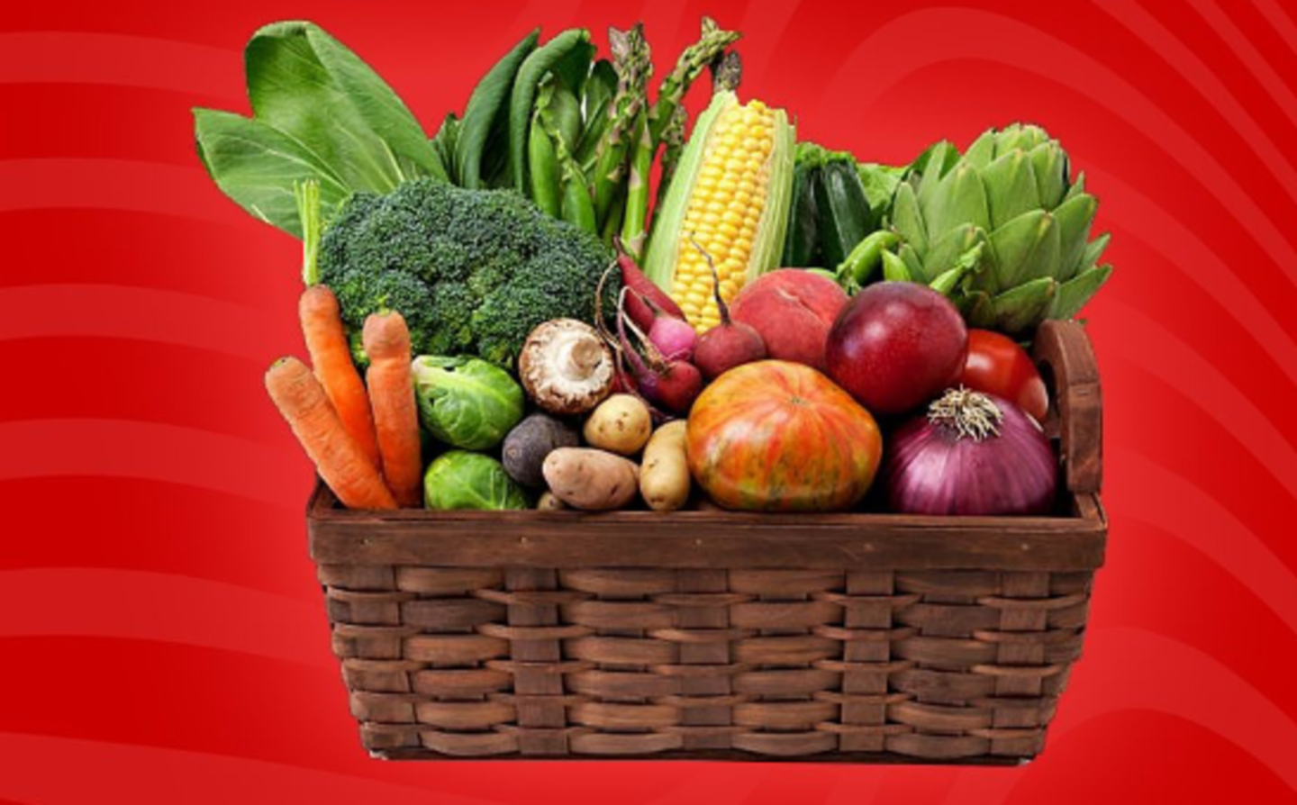 HiDubai-business-trolleys-supermarket-shopping-supermarkets-hypermarkets-grocery-stores-mirdif-dubai