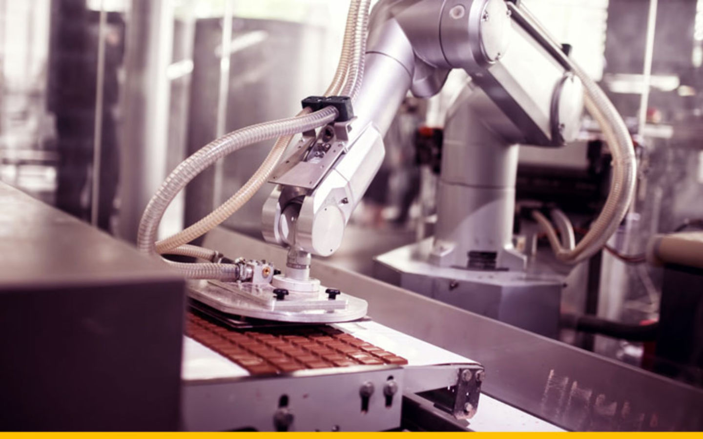 HiDubai-business-maktonet-b2b-services-distributors-wholesalers-business-bay-dubai