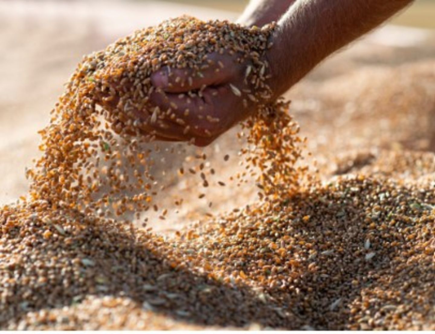 HiDubai-business-nexera-international-trading-shipping-logistics-shipping-business-bay-dubai