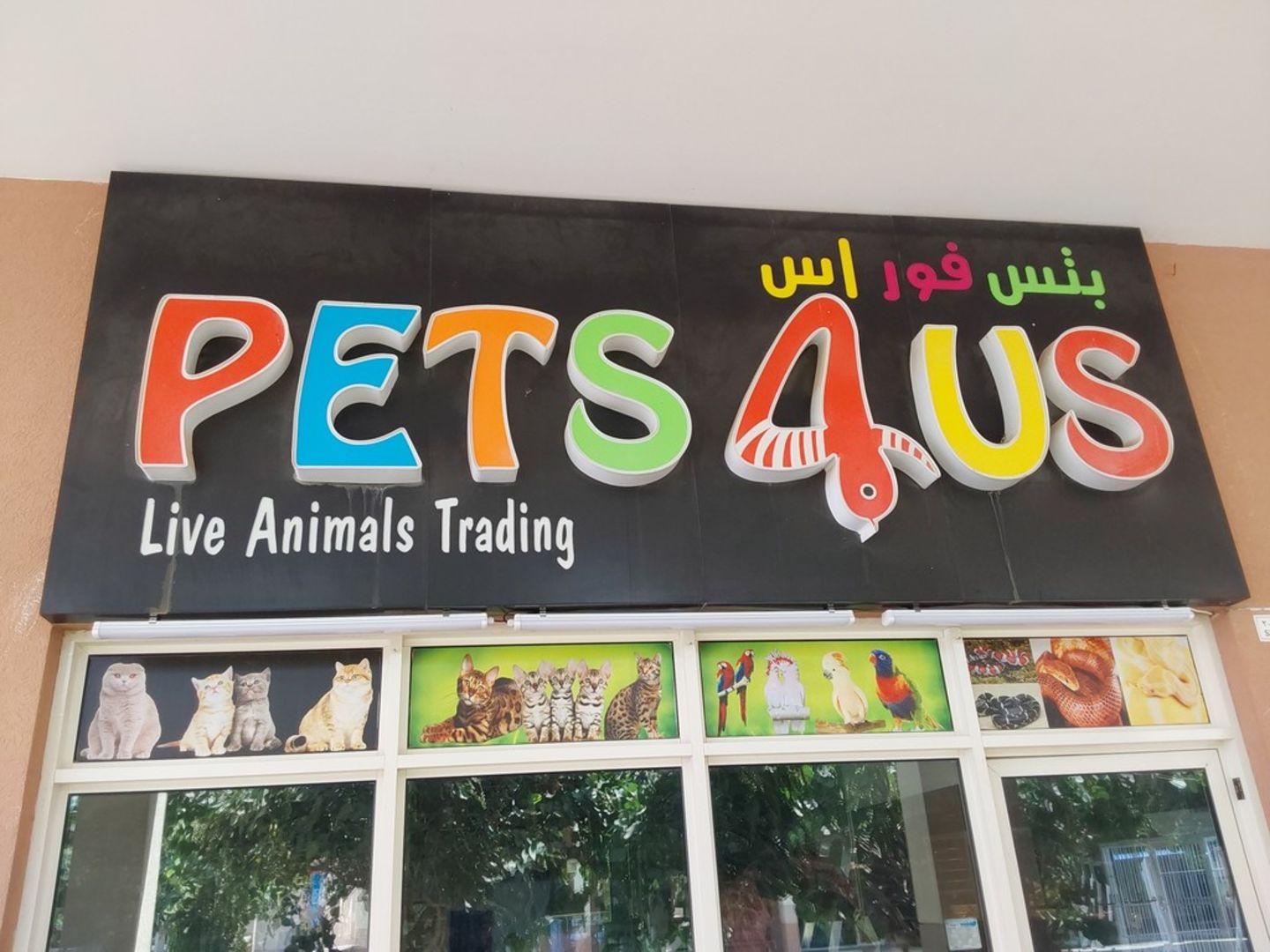 HiDubai-business-pets-4-us-animals-pets-plants-animal-breeding-centres-warsan-3-dubai