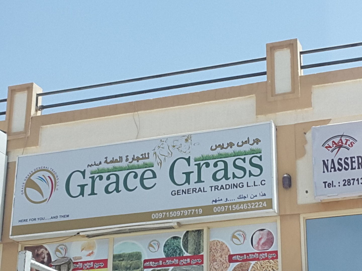 HiDubai-business-grace-grass-general-trading-b2b-services-distributors-wholesalers-al-aweer-2-dubai-2