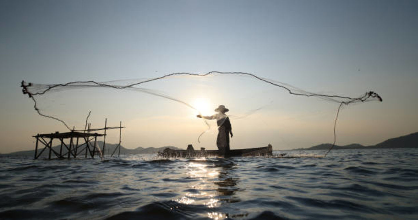 HiDubai-business-dubai-fishermen-co-operative-association-shopping-supermarkets-hypermarkets-grocery-stores-al-qusais-industrial-2-dubai