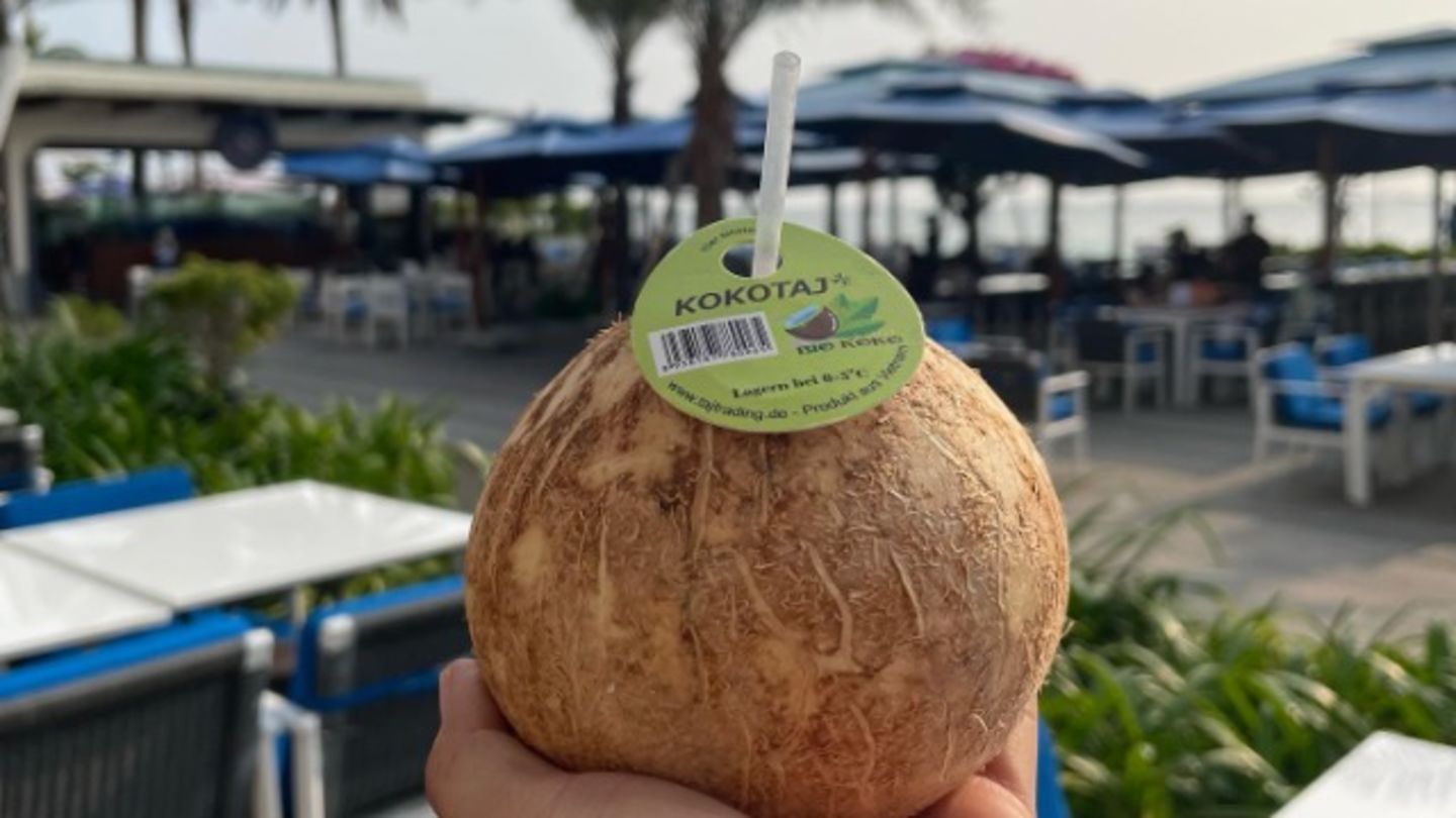 HiDubai-business-kokotaj-food-beverage-cafeterias-jumeirah-beach-residence-marsa-dubai-dubai