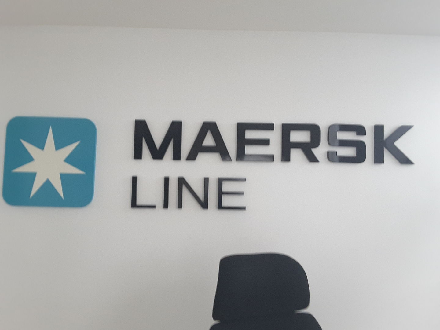 HiDubai-business-maersk-line-west-and-central-asia-shipping-logistics-sea-cargo-services-tecom-al-thanyah-1-dubai-2