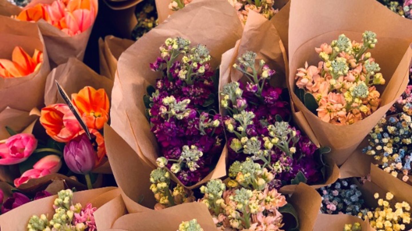 HiDubai-business-damac-hills-green-zone-animals-pets-plants-plants-gardening-stores-madinat-dubai-dubai