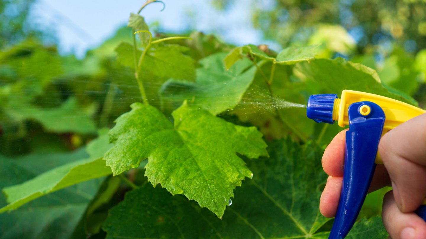 HiDubai-business-al-ashrafi-trading-construction-heavy-industries-chemical-metal-companies-al-qusais-industrial-4-dubai