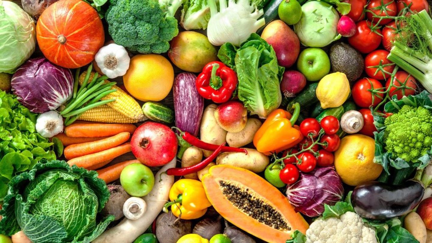 HiDubai-business-taste-of-spain-b2b-services-food-stuff-trading-umm-al-sheif-dubai