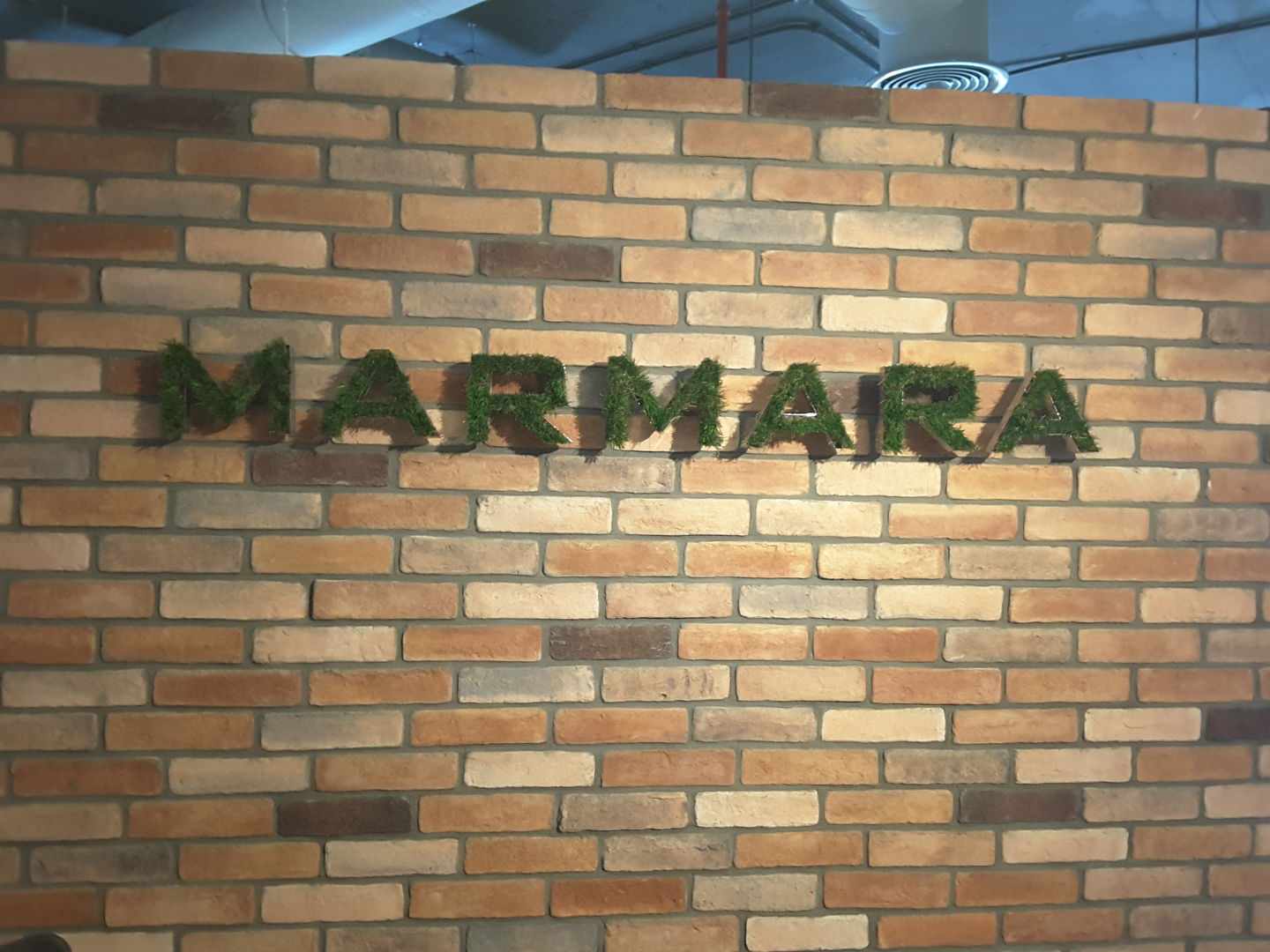 HiDubai-business-marmara-international-landscaping-home-gardening-landscaping-tecom-al-thanyah-1-dubai-2