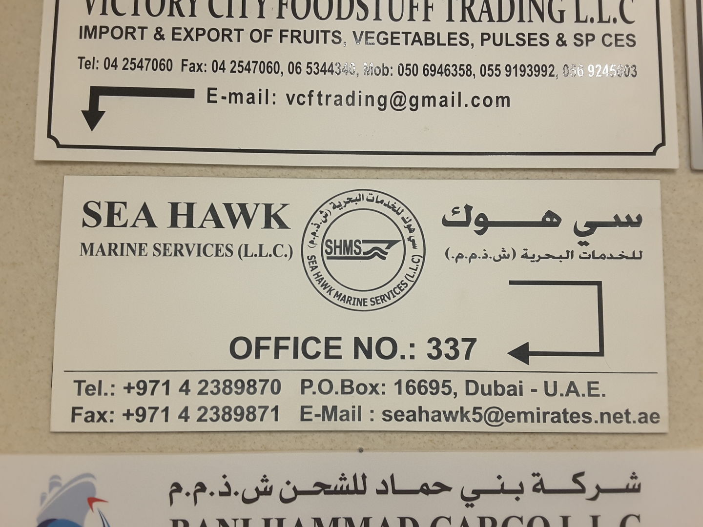 HiDubai-business-sea-hawk-marine-services-construction-heavy-industries-engineers-surveyors-al-hamriya-port-dubai-2