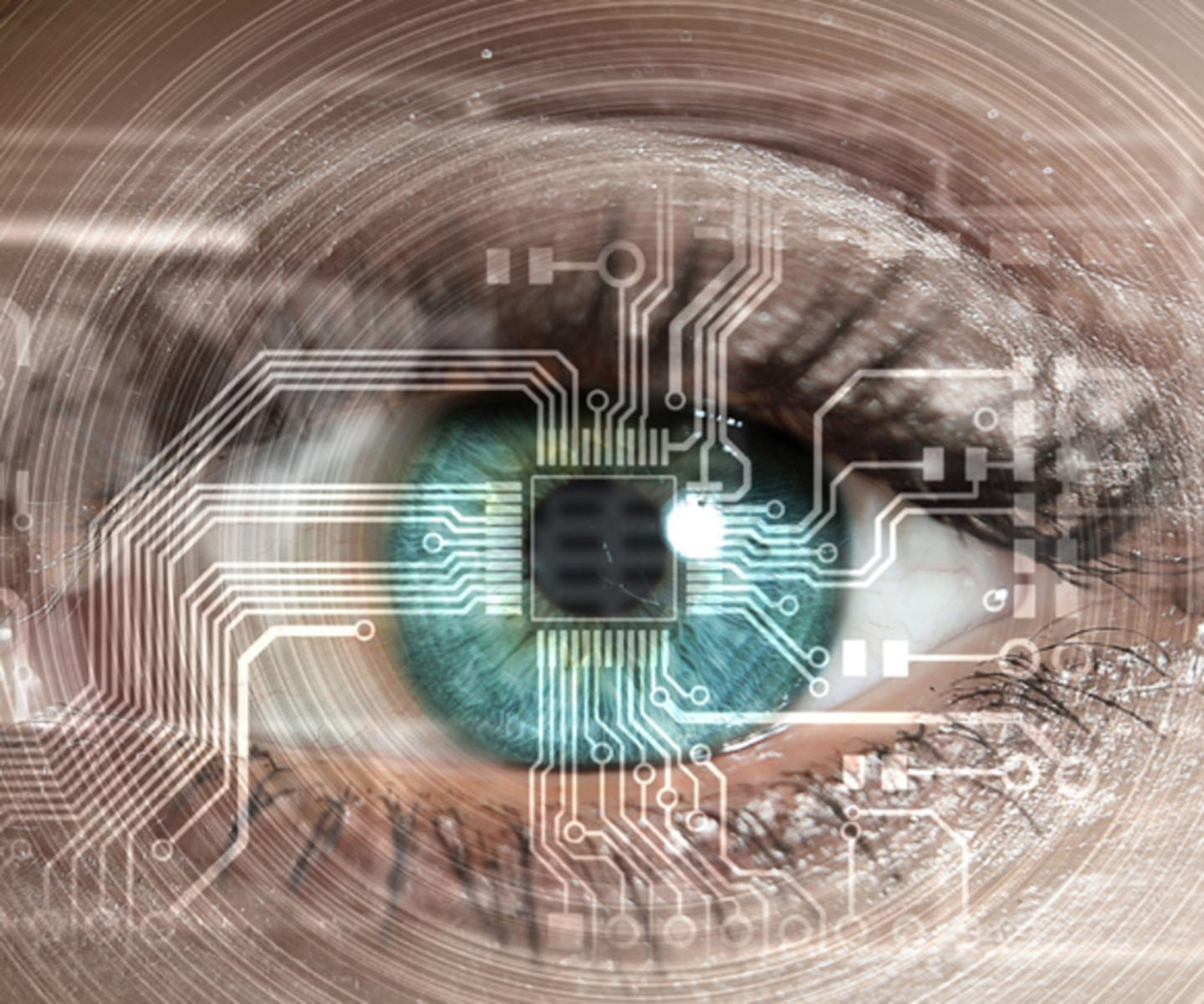 HiDubai-business-telcovate-communication-network-installation-media-marketing-it-it-telecommunication-al-garhoud-dubai