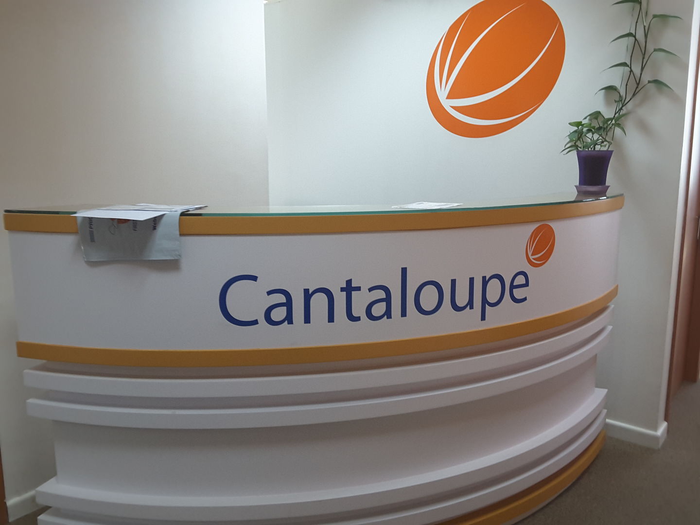 HiDubai-business-cantaloupe-information-technology-b2b-services-it-services-trade-centre-1-dubai